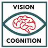 Vision et Cognition